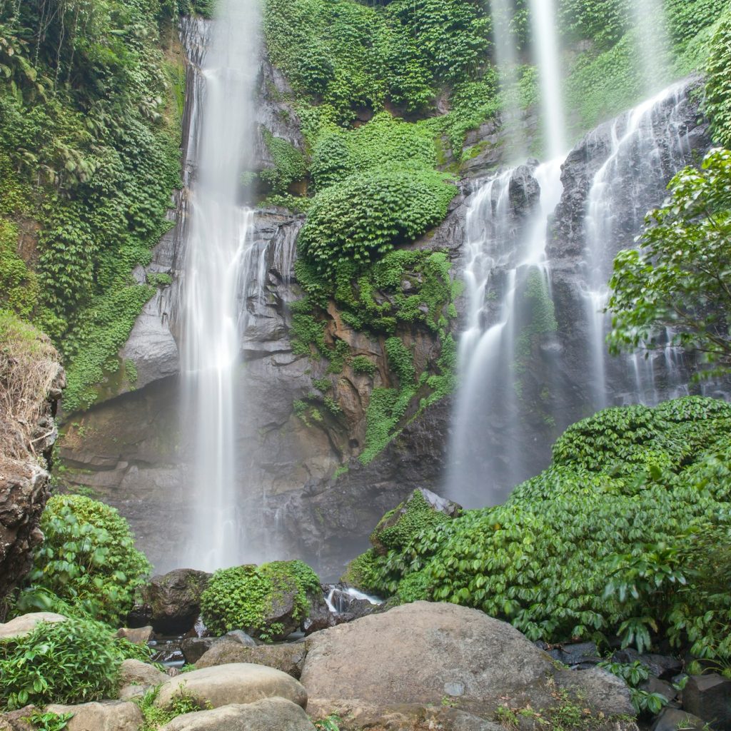 Lush in Bali (nominated)